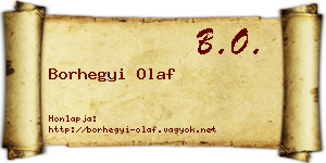 Borhegyi Olaf névjegykártya